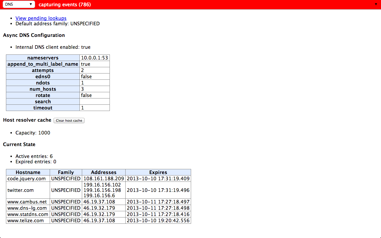 Chrome net-internals DNS