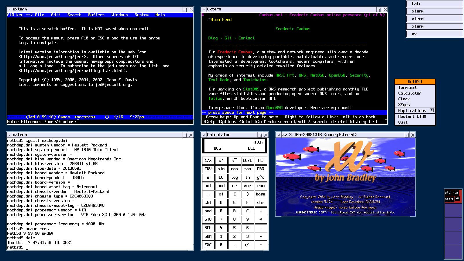 CTWM on NetBSD 9.99.90