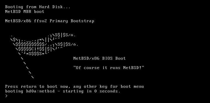 NetBSD ASCII Flag in the bootloader